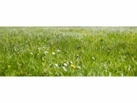 vente terrain 1100 m² à naintre (86530)  55 000 €