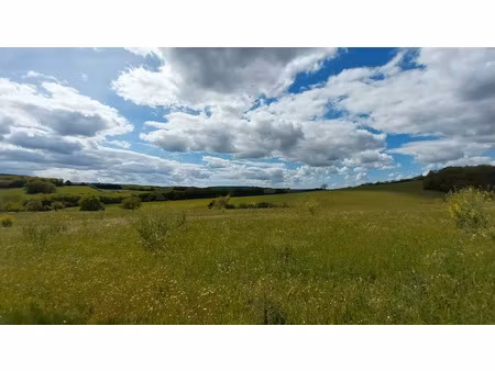 vente terrain 1200 m² à notre-dame-de-sanilhac (24660)  50 000 €