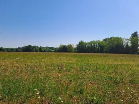 vente terrain 2561 m² à saint-germain-du-seudre (17240)  49 275 €