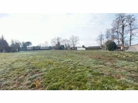 vente terrain 5000 m² à saint-médard-de-mussidan (24400)  60 000 €