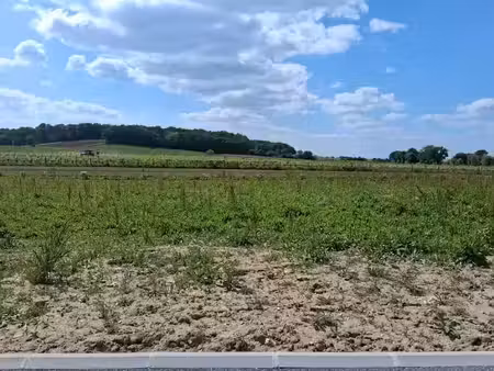 vente terrain 1126 m² à sigoulès (24240)  61 930 €