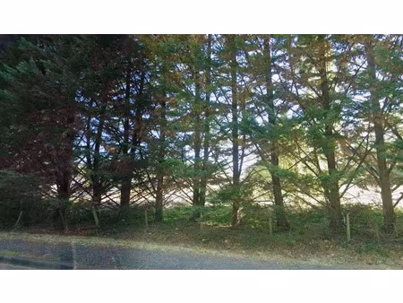 vente terrain 1130 m² à boulazac (24750)  68 000 €