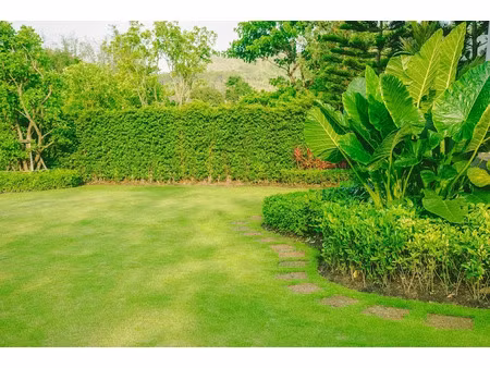 vente terrain 551 m² à echiré (79410)  62 900 €
