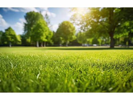 vente terrain 858 m² à blois (41000)  70 001 €