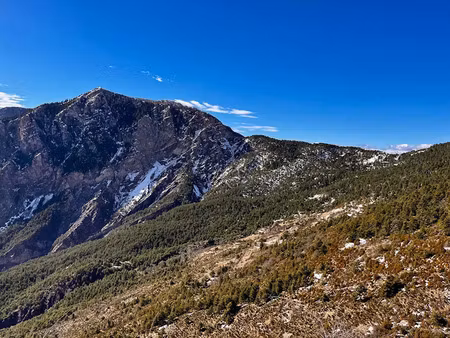 vente terrain 32905 m² à ilonse (06420)  68 500 €