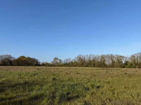 vente terrain 281 m² à rochefort (17300)  63 500 €