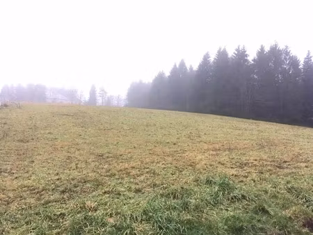 vente terrain 887 m² à is-sur-tille (21120)  59 000 €