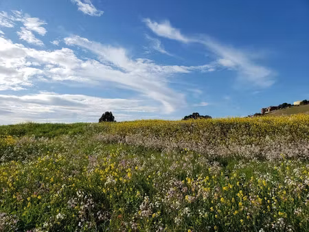 vente terrain 474 m² à mirebeau-sur-bèze (21310)  61 620 €