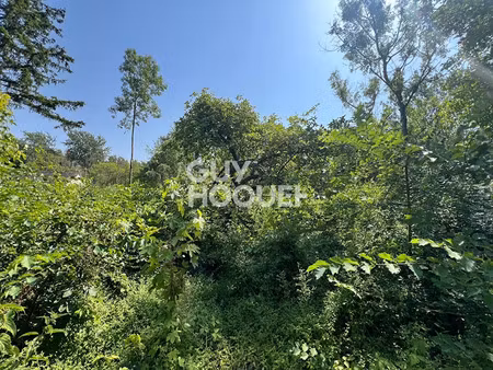 vente terrain 956 m² à milly-la-forêt (91490)  66 000 €
