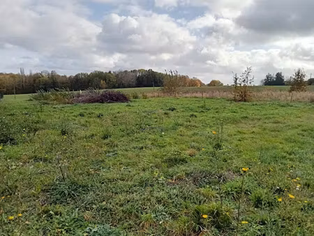 vente terrain 532 m² à binges (21270)  68 000 €