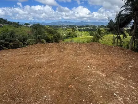 vente terrain à batir 1000 m² à baie mahault (97122)  205 000 €
