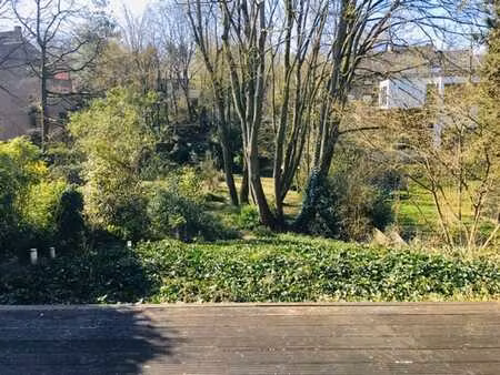 splendide duplex avec grand jardin plein sud au fort-jaco