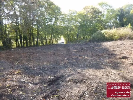 vente terrain 1909 m² à amillis (77120)  85 000 €