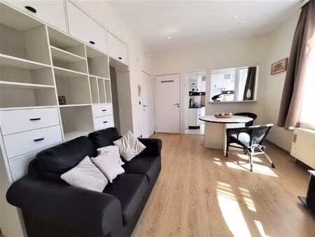 lumineux studio meublé bien situé!