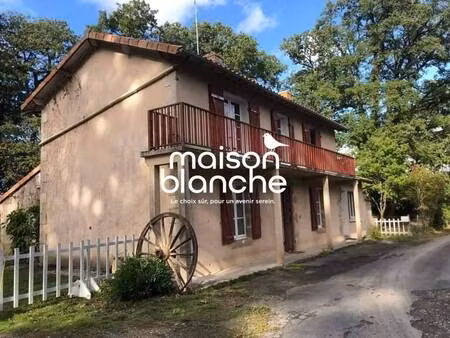maison blanche