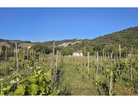 vente terrain 415 m² à cornas (07130)  109 000 €