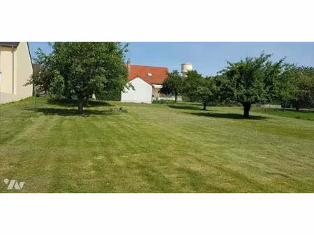 vente terrain 983 m² à saint-martin-d'ablois (51530)  89 250 €