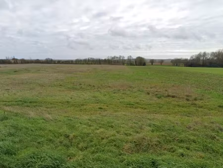 vente terrain 1081 m² à muron (17430)  96 900 €