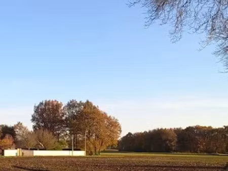 vente terrain 680 m² à saint-romain-de-benet (17600)  95 000 €