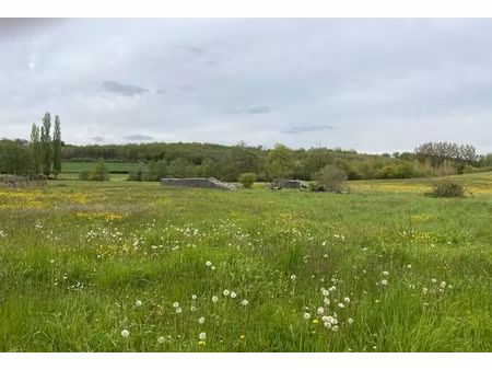 vente terrain 750 m² à pichanges (21120)  124 000 €