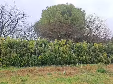 vente terrain 305 m² à saint-sulpice-de-royan (17200)  100 000 €