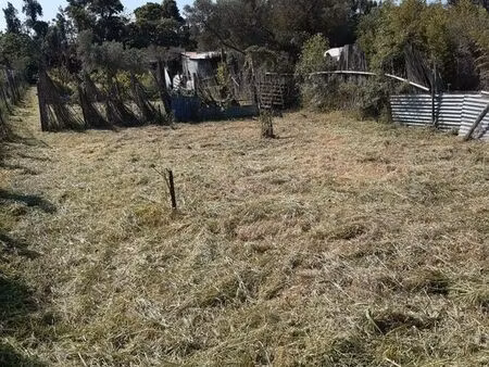 terrain de loisir jardinage