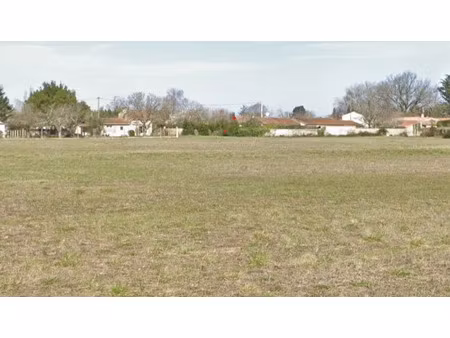 vente terrain 351 m² à saint-palais-sur-mer (17420)  172 000 €