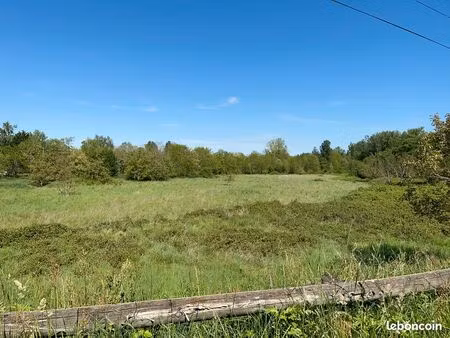 terrain agricole