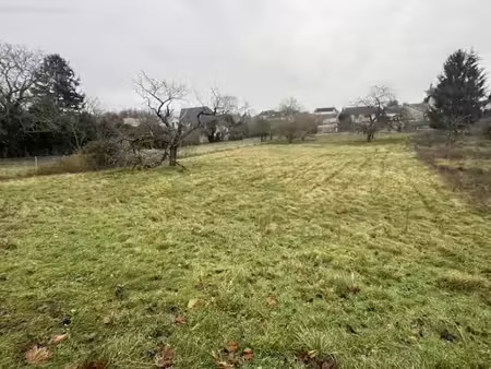 vente terrain 910 m² à saintry-sur-seine (91250)  187 250 €