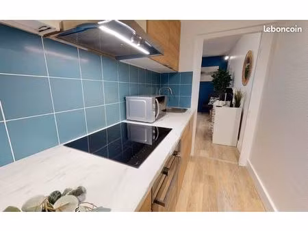 charmant t1 bis de 27 m² sur la rue delandine  lyon