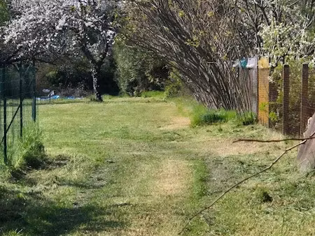 vente terrain 4000 m² à soyaux (16800)  240 000 €
