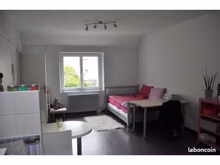 studio meuble hyper centre atypique - serenite - calme sur jardin arboré « la campagne à l