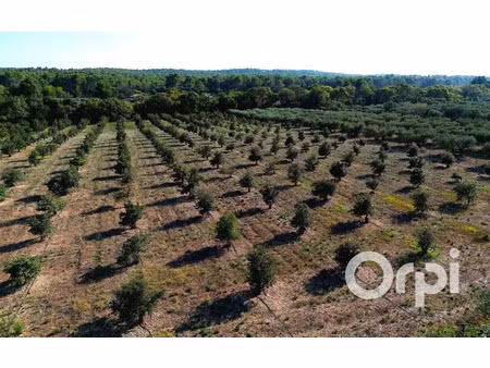 vente terrain 32000 m² à fontvieille (13990)  237 000 €