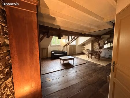 loft 1 pièce 65 m²