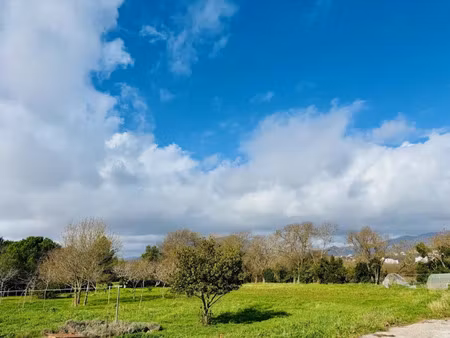 vente terrain 730 m² à le pradet (83220)  440 000 €