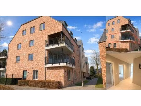 appartement à louer à postiljon 3b wuustwezel (rbv85754)