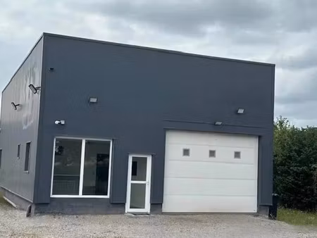 vente locaux professionnels 130 m² à chavelot (88150)  273 000 €