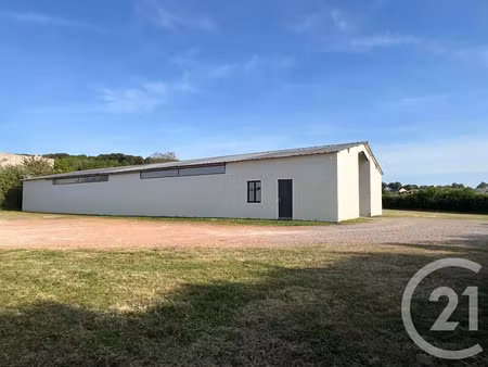 vente locaux professionnels à saint-benin-d'azy (58270)  180 000 €
