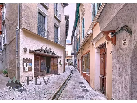 vente locaux professionnels 160 m² à saint-martin-vésubie (06450)  324 000 €