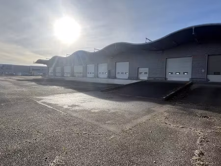 vente locaux professionnels 0 pièces 2994 m² à souffelweyersheim (67460)  5 500 000 €