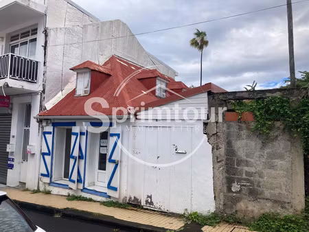 basse-terre local professionnel centre-ville
