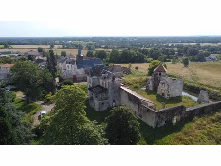 vente château 12 pièces 250 m² à le dorat (87210)  499 200 €