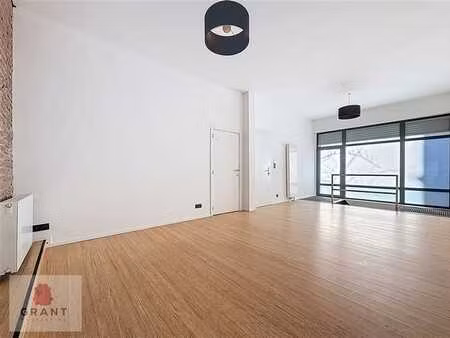 spacieux souplex 1 chambre au rdc