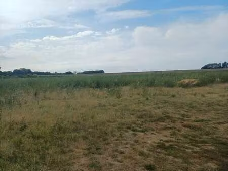 terre agricole - plancenoit