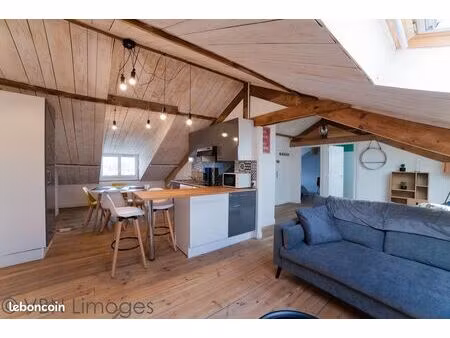 très bel appartement esprit loft  colocation possible