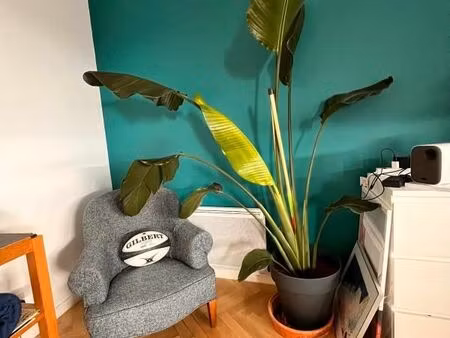 appartement 2 pièces 50 m²