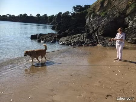 recherche location hors saison