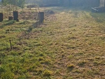 terrain