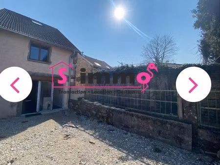 maison rénovée avec jardin en centre ville