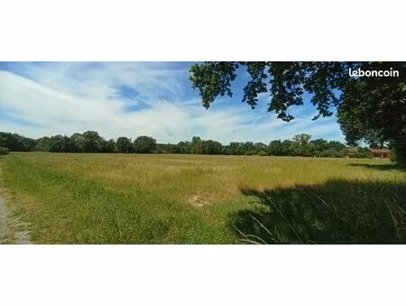terrain 1 000 m² lagraulet saint nicolas